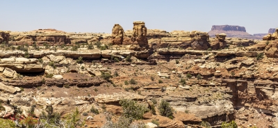 Canyonlands National Park June 2025